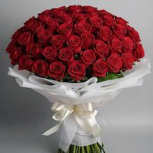 Букет 101 Красная роза Блэк Мэджик в Новоорске
