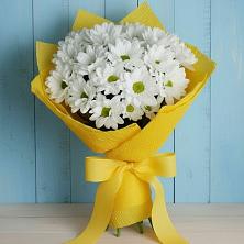 Букет цветов из:  Хризантемы в Новоорске