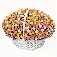 Премиум букет из: Розы #REPLACE_PRED# Новоорске