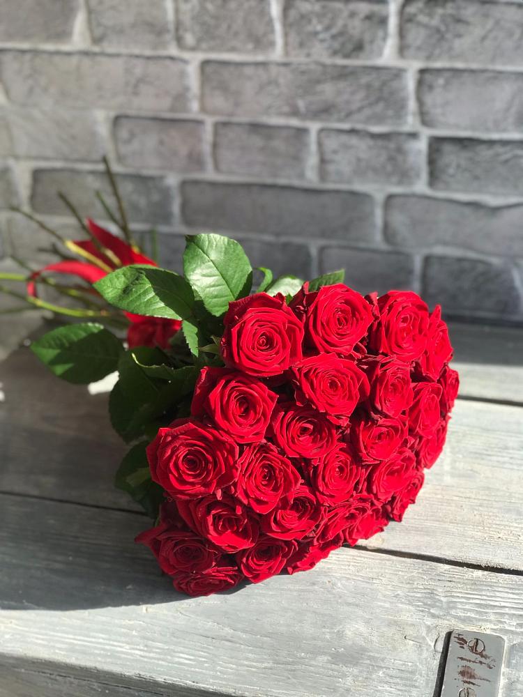 Букет Красные розы Фридом в Новоорске