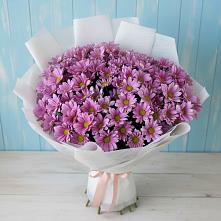 Букет цветов из:  Хризантемы #REPLACE_PRED# Новоорске
