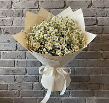 Букет цветов из:  Ромашки в Новоорске