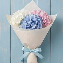 Букет цветов из:  Гортензия в Новоорске