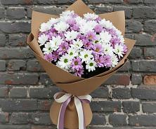 Букет цветов из:  Хризантемы в Новоорске