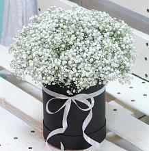 Цветочная композиция из Гипсофила в шляпной коробке #REPLACE_PRED# Новоорске
