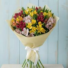 Букет цветов из:  Альстромерии в Новоорске