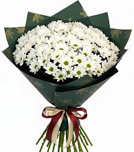 Букет цветов из:  Хризантемы в Новоорске