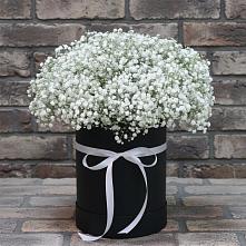 Цветочная композиция из Гипсофила в шляпной коробке #REPLACE_PRED# Новоорске