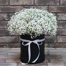 Цветочная композиция из Гипсофила в шляпной коробке в Новоорске
