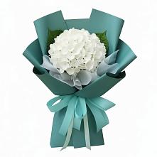 Букет цветов из:  Гортензия в Новоорске